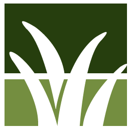 Fallen Branch Removal Pros