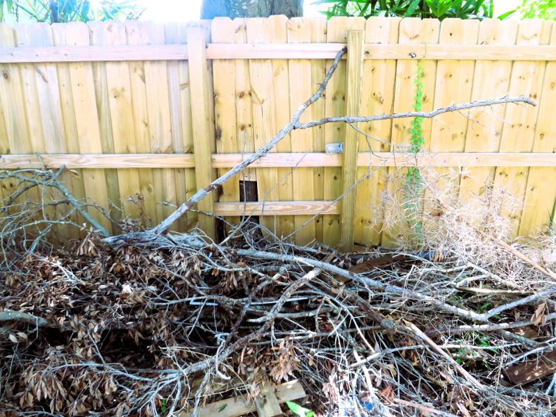 Fallen Branch Removal