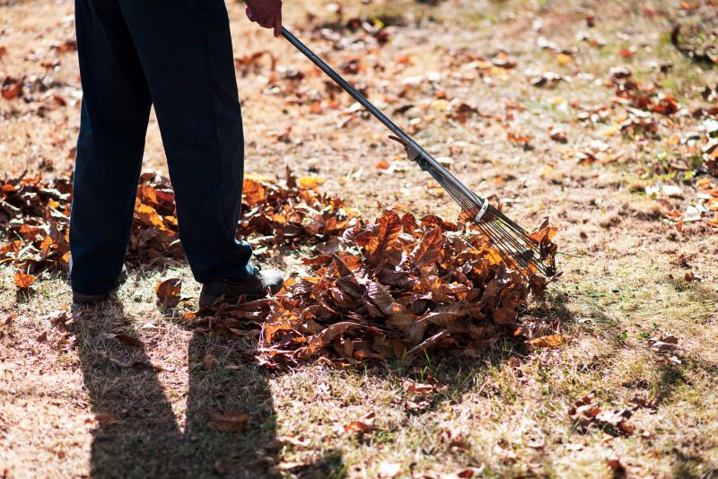 Leaf Raking Service